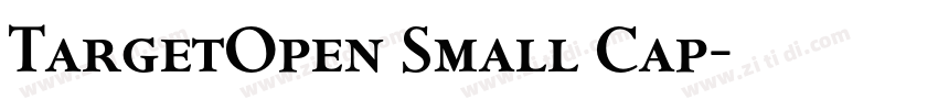 TargetOpen Small Cap字体转换